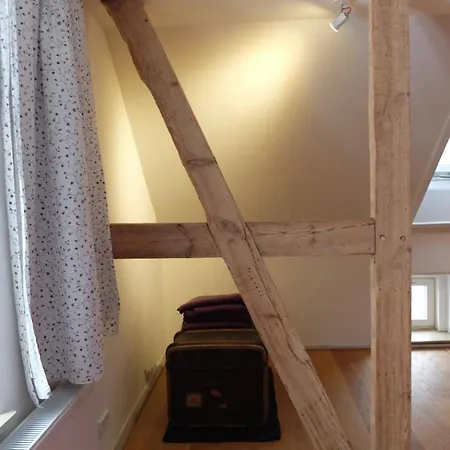 Apartment Botanische Botschaft