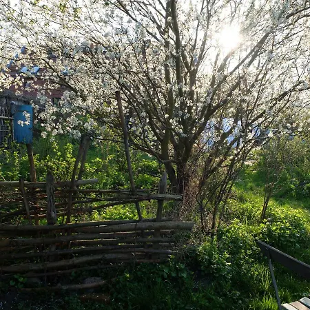 Botanische Botschaft Strodehne