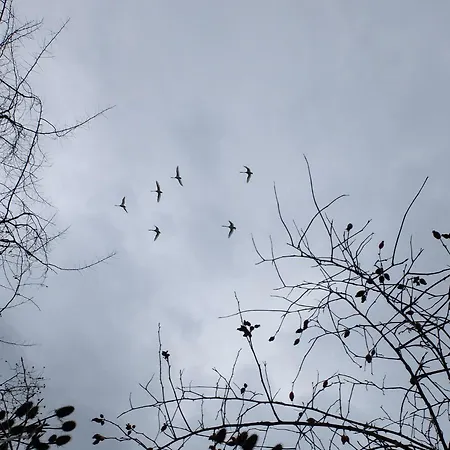 Botanische Botschaft Апартаменты *