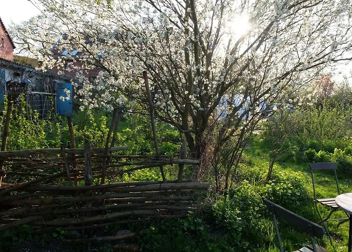 Botanische Botschaft Strodehne