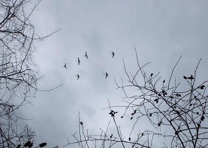 Botanische Botschaft Apartamento *