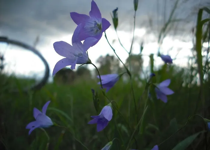 Apartamento Botanische Botschaft Strodehne